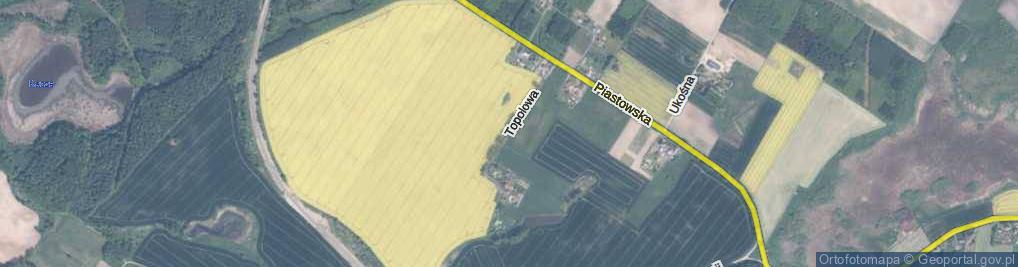 Zdjęcie satelitarne Topolowa ul.