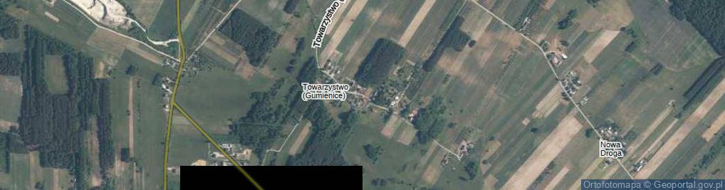 Zdjęcie satelitarne Towarzystwo (Gumienice) ul.