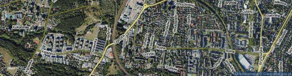 Zdjęcie satelitarne Tomasza ul.