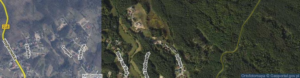 Zdjęcie satelitarne Torfowa ul.