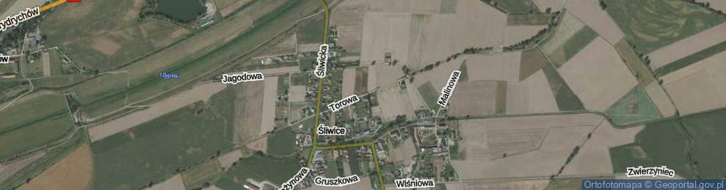 Zdjęcie satelitarne Torowa ul.