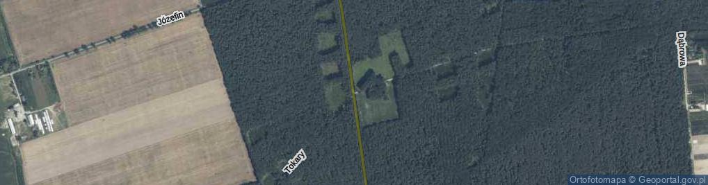 Zdjęcie satelitarne Tokary ul.