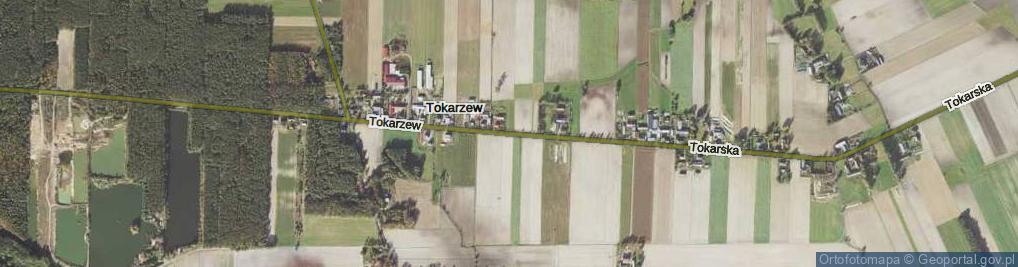 Zdjęcie satelitarne Tokarzew ul.