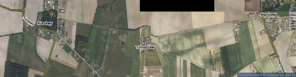 Zdjęcie satelitarne Tomaszew ul.