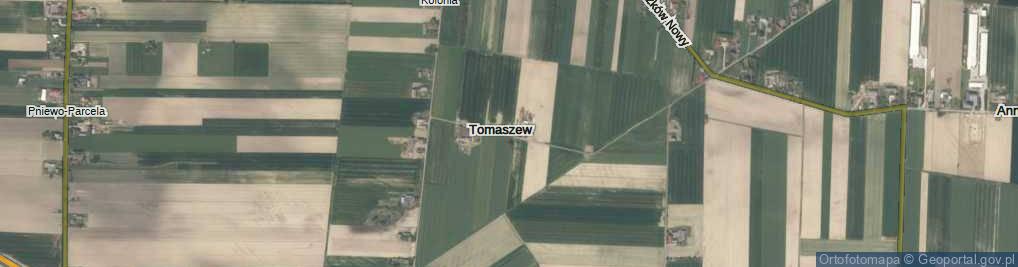Zdjęcie satelitarne Tomaszew ul.