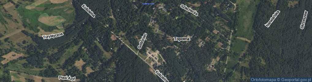 Zdjęcie satelitarne Topolina ul.