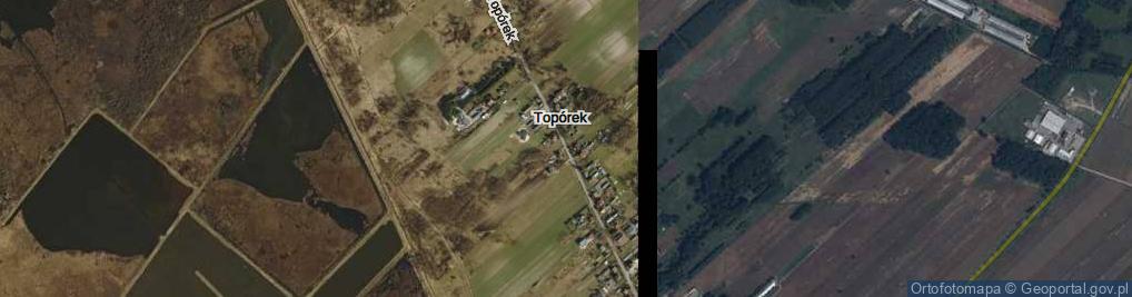 Zdjęcie satelitarne Topórek ul.