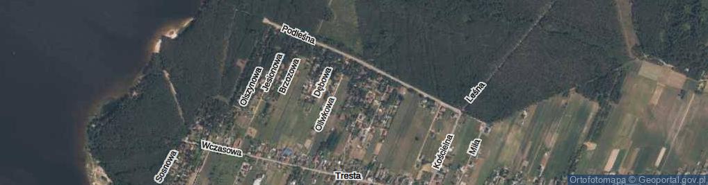 Zdjęcie satelitarne Topolowa ul.