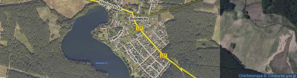 Zdjęcie satelitarne Trzcielska ul.