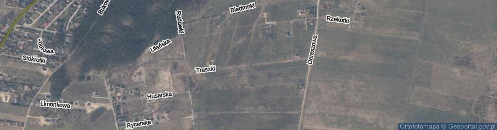 Zdjęcie satelitarne Traszki ul.