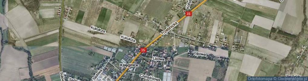 Zdjęcie satelitarne Trzebnicka ul.