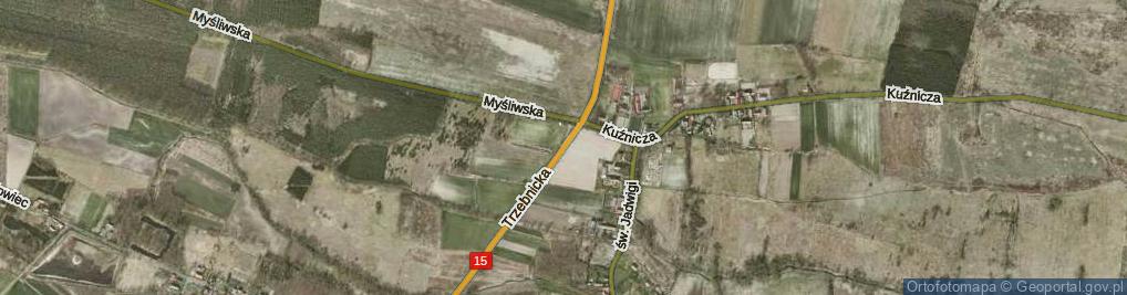 Zdjęcie satelitarne Trzebnicka ul.