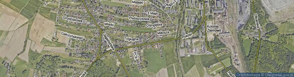 Zdjęcie satelitarne Trójkątna ul.