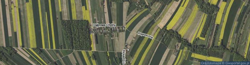 Zdjęcie satelitarne Trzydnicka ul.