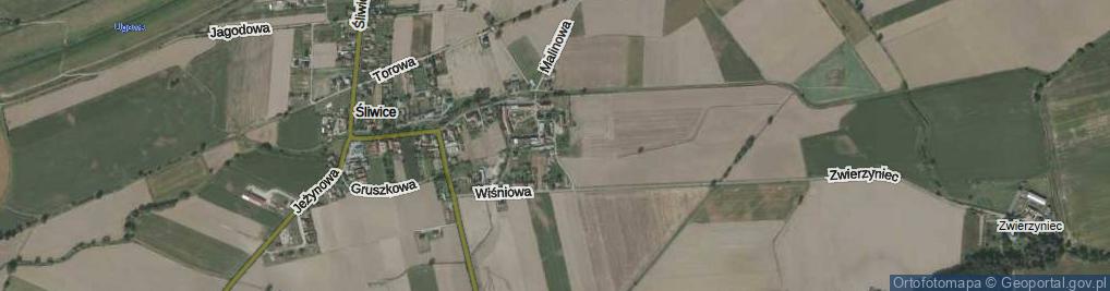 Zdjęcie satelitarne Truskawkowa ul.