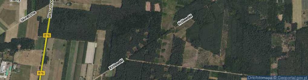 Zdjęcie satelitarne Trakt Królewski ul.