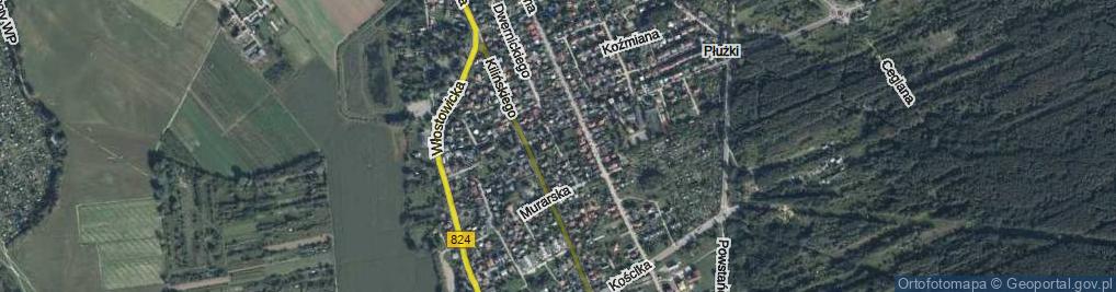 Zdjęcie satelitarne Trześniaka Józefa ul.