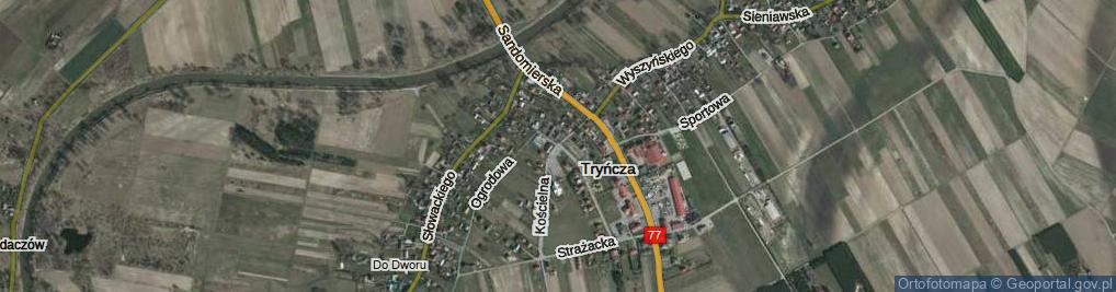 Zdjęcie satelitarne Tryńcza ul.