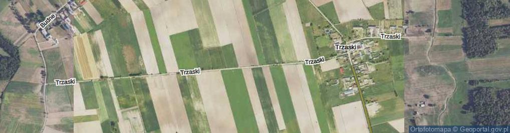 Zdjęcie satelitarne Trzaski ul.