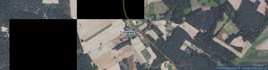 Zdjęcie satelitarne Trzcianka ul.