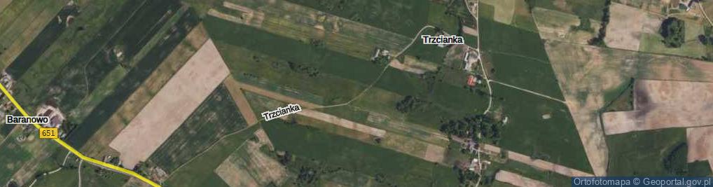 Zdjęcie satelitarne Trzcianka ul.