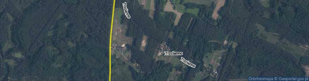 Zdjęcie satelitarne Trzcianno ul.