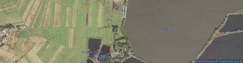 Zdjęcie satelitarne Trzcieliny ul.