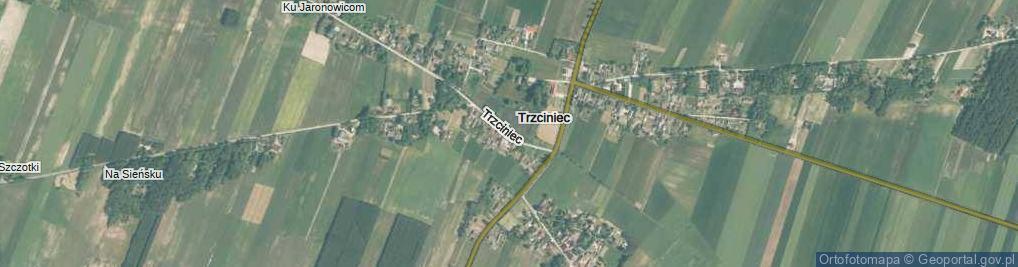 Zdjęcie satelitarne Trzciniec ul.