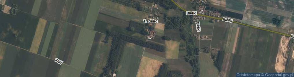 Zdjęcie satelitarne Trzciniec ul.
