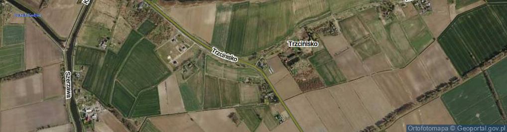 Zdjęcie satelitarne Trzcinisko ul.
