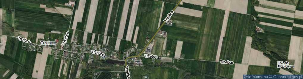 Zdjęcie satelitarne Trzebce ul.