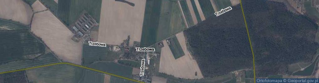 Zdjęcie satelitarne Trzebowa ul.