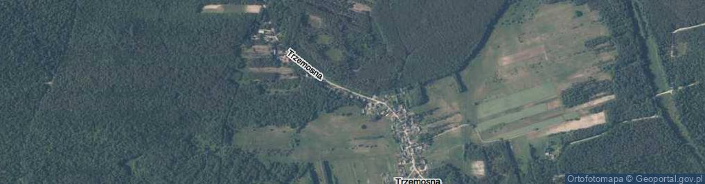 Zdjęcie satelitarne Trzemosna ul.