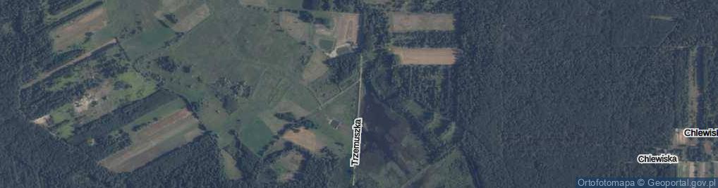 Zdjęcie satelitarne Trzemuszka ul.