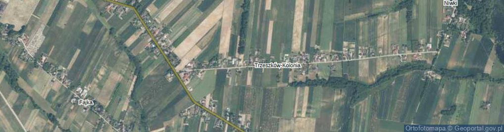 Zdjęcie satelitarne Trzeszków ul.