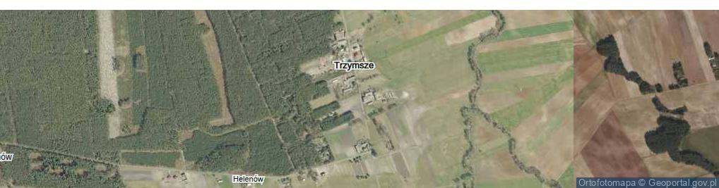 Zdjęcie satelitarne Trzymsze ul.