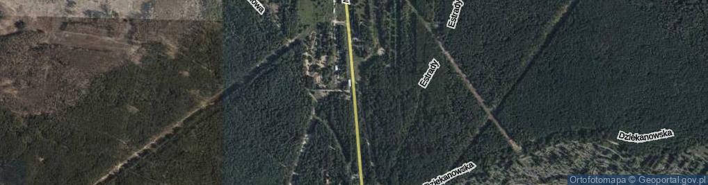 Zdjęcie satelitarne Trenów ul.