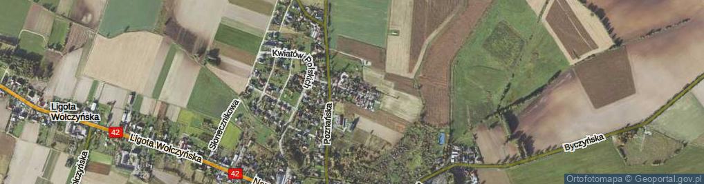 Zdjęcie satelitarne Traugutta Romualda, gen. ul.