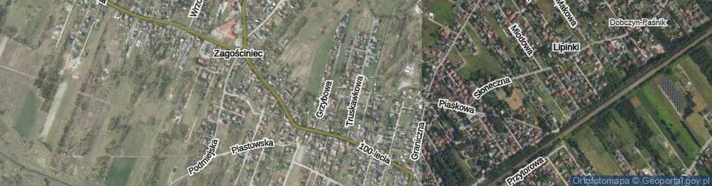 Zdjęcie satelitarne Truskawkowa ul.