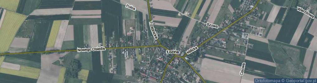 Zdjęcie satelitarne Trzebnicka ul.