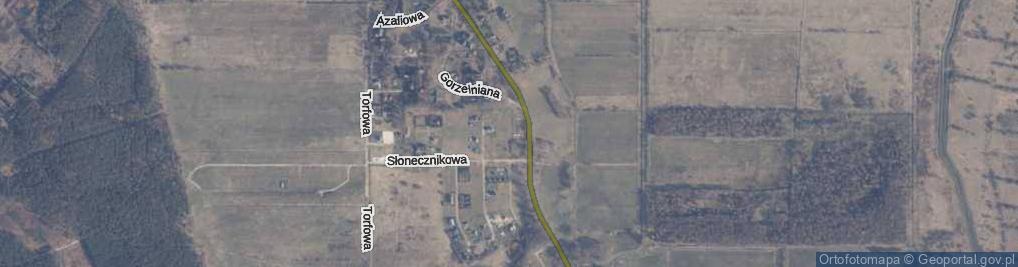 Zdjęcie satelitarne Tulipanowa ul.