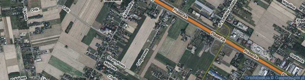 Zdjęcie satelitarne Tulipanowa ul.