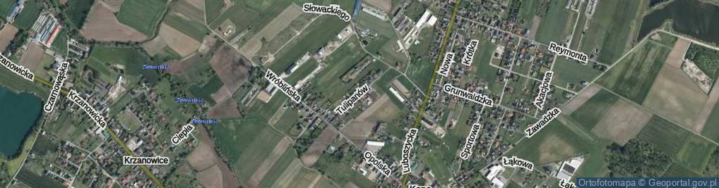 Zdjęcie satelitarne Tulipanów ul.