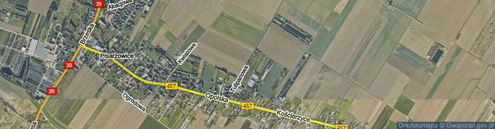 Zdjęcie satelitarne Tulipanowa ul.