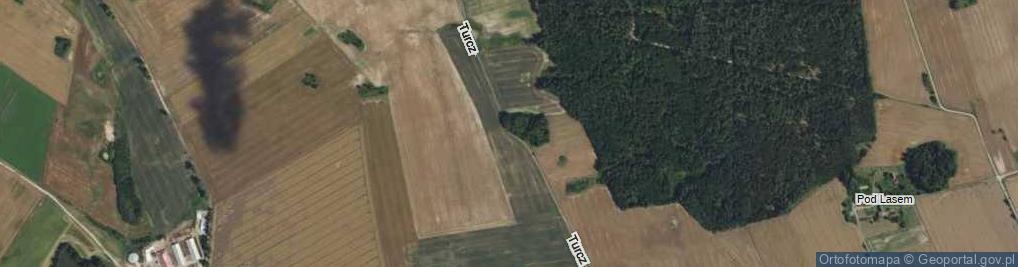 Zdjęcie satelitarne Turcz ul.