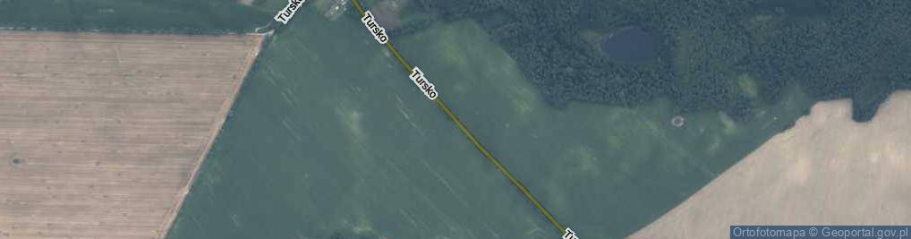 Zdjęcie satelitarne Tursko ul.