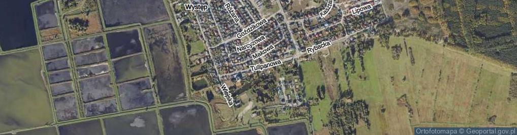 Zdjęcie satelitarne Tulipanowa ul.