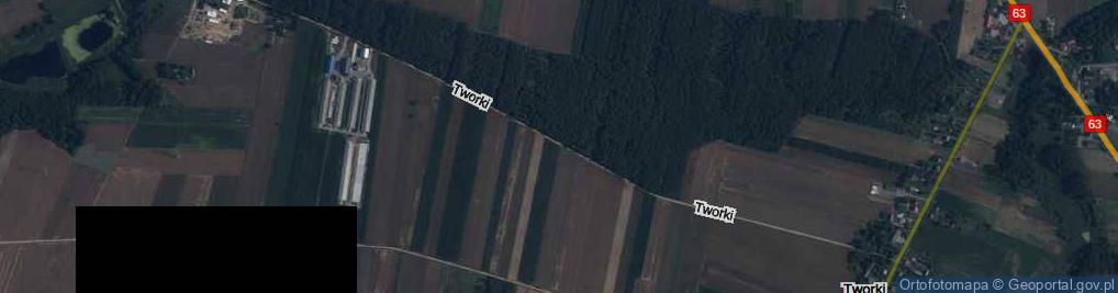 Zdjęcie satelitarne Tworki ul.