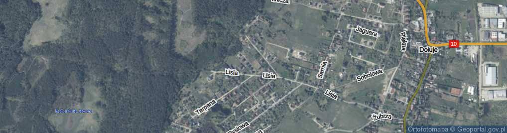 Zdjęcie satelitarne Tygrysia ul.