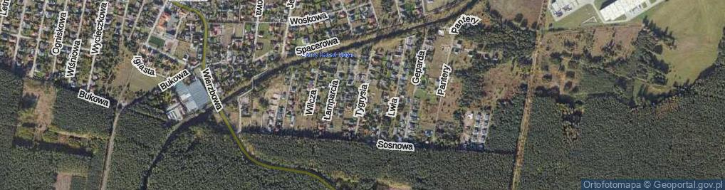 Zdjęcie satelitarne Tygrysia ul.